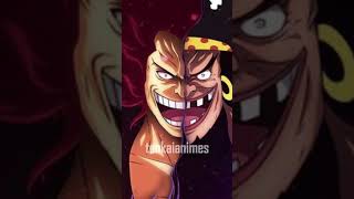 Luffy, Vivi, Barba Negra e Shiraroshi Estão Conectados a Mais de 800 Anos | One Piece