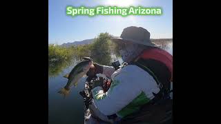 Spring BASS fishing in Arizona #shorts #fishing #bassfishing #bass #kayakfishing #arizona #outdoors