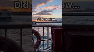 So dreamy 🥰 #sunset #boat #sea #clouds #shorts #shortvideo #facts