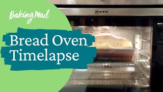 Bread time lapse in the oven