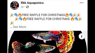 free raffle para sa pasasalamat ng rkk aquaponics