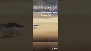 خودا هةبيت هةموو شتيك اسانه