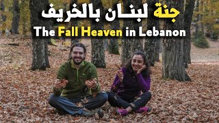 جنة لبنان بالخريف غابة العزر ll Heaven of Lebanon in Fall