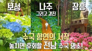 국내 여행지 추천 놓치면 후회할 7월 전남 수국 명소 보성 나주 강진 장흥