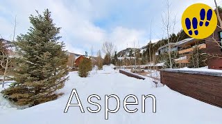 Snowy Trail in Aspen, Colorado