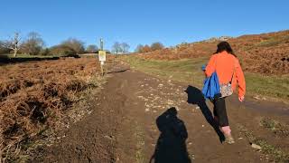 Bradgate Park Walk