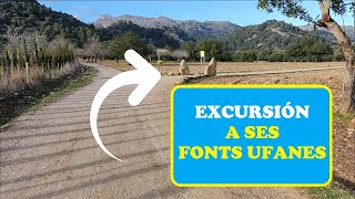 🌄 EXCURSION a LES FONTS UFANES ( Palma de Mallorca: CAMPANET )