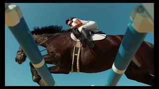 #Футаж конь прыгает через барьер ◄4K•HD► #Footage horse jumping over the barrier