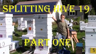 Splitting Hive 19  part one