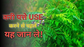 Curri Patte इस्तेमाल करने से पहले यह जान ले! How to use Curry leaves?