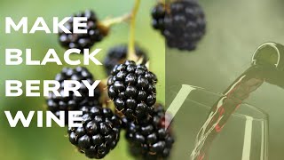 How To Make Blackberry Wine Part 1