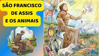 SÃO FRANCISCO DE ASSIS E OS ANIMAIS 🐾🐕‍🦺💥🐶