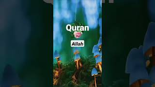 💕Quran Translation💕||Islamic WhatsApp Status ||🍃Quran Tarjuma🤗 #qurantranslation #quraninurdu #quran