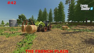 A Farmer's Routine Never Ends // Farming Simulator 22 // The French Plain - Ep. 42 #fs22