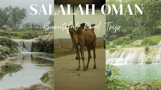 Muscat to Salalah travel by Road 1021km #trip #60seconds #nature #enjoy #beautiful