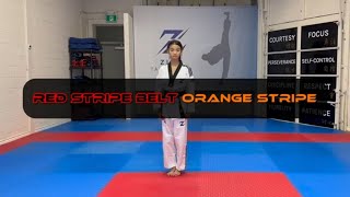 Red Stripe Belt - Hand Tech.  Assisted Low Block, Side Punch, Side Back Fist - Orange Stripe