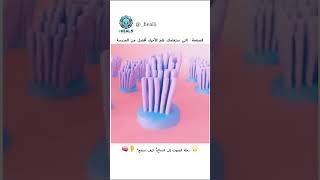 🌟 رحلة الصوت إلى الدماغ: كيف نسمع؟ 👂🧠