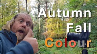 Autumn Fall Colour | LANDSCAPE PHOTOGRAPHY COMPOSITIONS | Canon EOS 5D Mark II