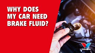 WHY does my CAR Need BRAKE FLUID | Is It Time for a CHANGE? | ASK ALISTAIR