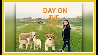 Day on theFarm |Argentina #Funday