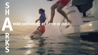 SharkSmart – avoid dawn and dusk