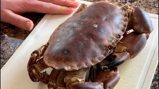 How to cook and pick a Brown Crab