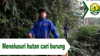 Pemuda gabut the explorer tak lagi sendiri menelusuri hutan cari burung