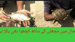 cast net fishing / fishing in Net/(sattu Jal sy machli pakrna)