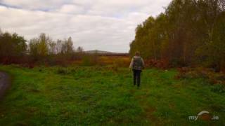 Ireland's Peat Bogs