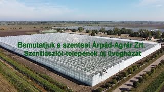 Bemutatjuk a szentesi Árpád-Agrár Zrt. Szentlászlói-telepének új üvegházát /Kiegészített/