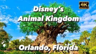 Disney's Animal Kingdom - Orlando, Florida | Full Walkthrough