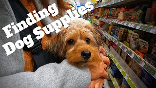 VLOG # 162 FINDING DOG SUPPLIES / PAPA PIGGY in the UK / #ofw