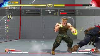 SFV MATAMUNE19 GUILE SONIC LOOP VER. DP PUNISHER