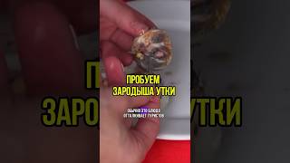 Традиционное блюдо в Камбодже 🥚 А вы бы съели?