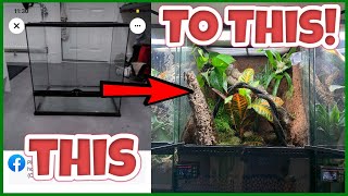 Crested Gecko Setup 2022! w/Custom Background!