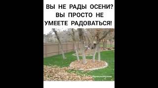 надо радоваться осени #одесса #осень #осень2022 #радость