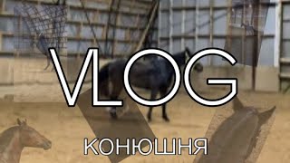 ||VLOG|| сломался конь😅 ||конюшня||