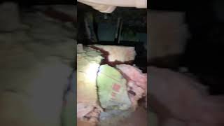 Crawlspace Inspection (Wet Seal Waterproofing)