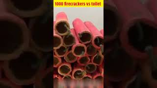 1000 firecrackers vs toilet 🤯| #shorts