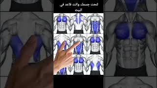 تمارين تخدم جميع عضلات الجسم وبدون معدات #معلومة_تهمك