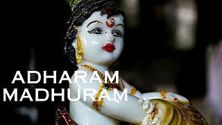 Adharam Madhuram LoFi Version | Krishan Bhajan | Hare Krishna | Krishna Devotional Songs