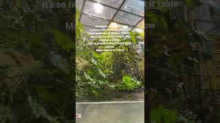 Tropical Environment of Biodome Montreal: Raining Indoor #biodome #montrealcity #canadalife