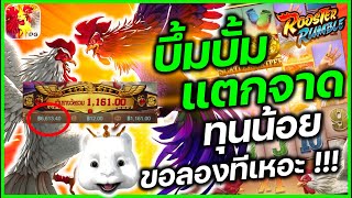 rooster rumble สล็อตไก่ชน pg สล็อตเว็บตรง สล็อตทุนน้อย