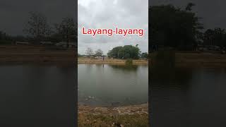 Bermain Layang-layang dan Berenang Asyiiik #buyutcerbonchannel #shorts