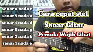 TUTORIAL STEM SENAR GITAR !! PEMULA WAJIB LIHAT