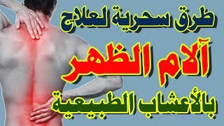 طرق سحرية لعلاج آلام الظهر بالأعشاب