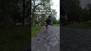 Kamikaze squirrel hates inline skaters