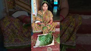 ଆମ ବାରି ସଜନା ଶାଗ ଜହ୍ନି ଭଜା # odia food viral video # shorts # Village cooking lifestyle