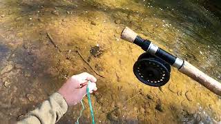 DELAWARE TROUT FISHING WHITE CLAY CREEK 4/19/2023