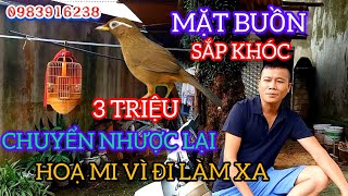 ANH HƯỞNG BUỒN VÌ CHUYỂN NHƯỢNG LẠI HỌA MI 3 TRIỆU VÌ ĐI LÀM XA KHÔNG TẬT LỖI